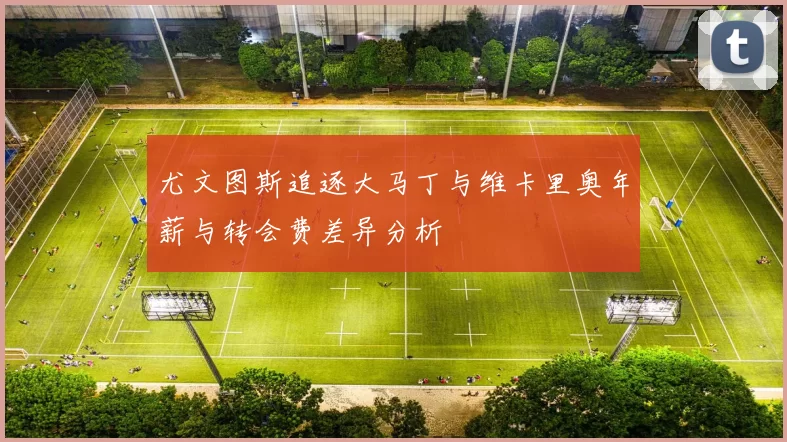 尤文图斯追逐大马丁与维卡里奥年薪与转会费差异分析