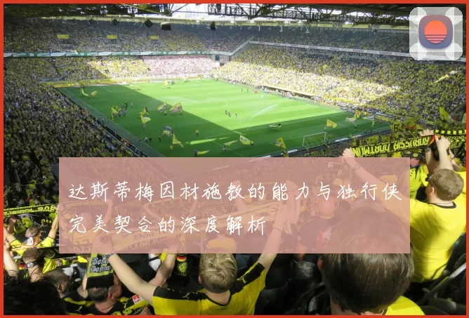 达斯蒂梅因材施教的能力与独行侠完美契合的深度解析